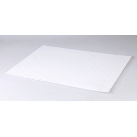 Lavis Technique 160g A3 Paquet 20F