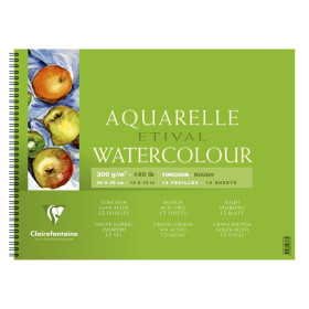 Album RI Etival G.Torchon 36x48 12F 250g