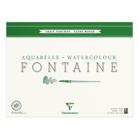 Bloc Fontaine G.Torchon 42x56  25F 300g C4 côtés