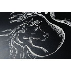 Paquet Carte à Gratter Noire 50x65 5F 520g