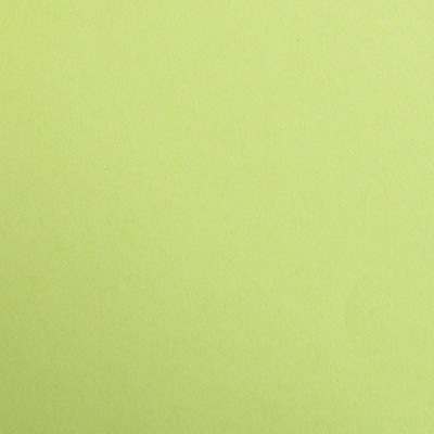 Paquet Maya 50x70cm 25F 120g vert mousse