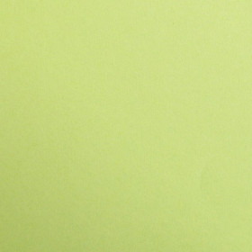 Paquet Maya A4 25F 270g vert mousse