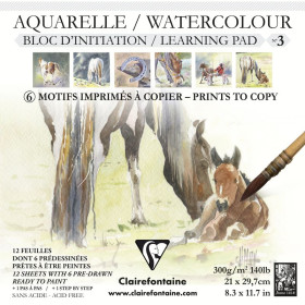 Bloc prédessiné n°3 21x21 Aquarelle Chevaux 12F 300g