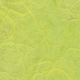 Sac-étui de 10 feuilles, papier mûrier 65x95cm vert nil