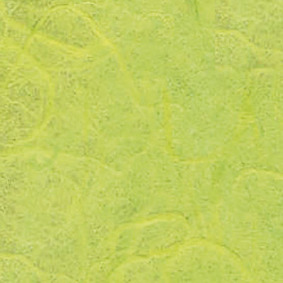 Sac-étui de 10 feuilles, papier mûrier 65x95cm vert nil