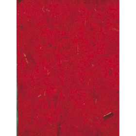 Sac-étui de 10 feuilles, Papier Banane 65x95cm rouge