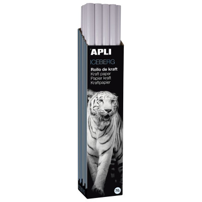 PAPIER KRAFT EN ROULEAU 1 X 3M. BLANC