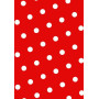 RL PAPIER KDO 2x0,70 TENDANCE