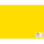 SACH CARTON 170G 50X65CM 25F JAUNE