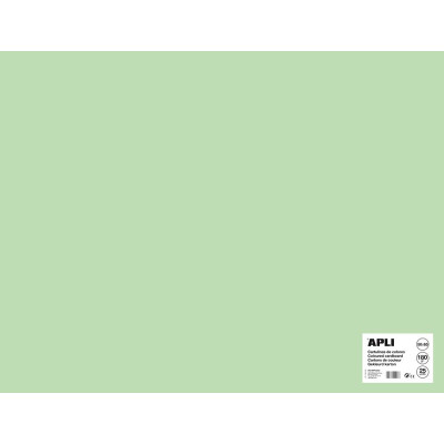 SACH CARTON 170G 50X65CM 25F VERT EMERAU