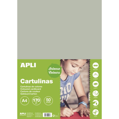 SACH. CARTON 170G A4 50F GRIS