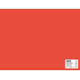 SACH CARTON 170G 50X65CM 25F ROUGE