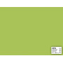 SACH CARTON 170G 50X65CM 25F VERT CLAIR