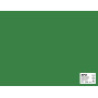 SACH CARTON 170G 50X65CM 25F VERT FONCE