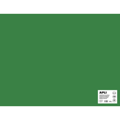 SACH CARTON 170G 50X65CM 25F VERT FONCE