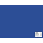 SACH CARTON 170G 50X65CM 25F BLEU FONCE