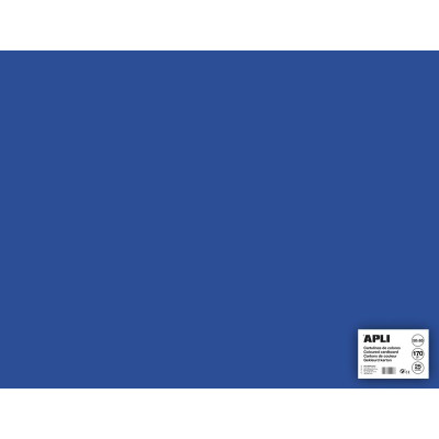 SACH CARTON 170G 50X65CM 25F BLEU FONCE