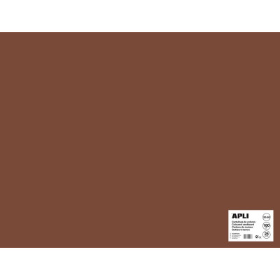 SACH CARTON 170G 50X65CM 25F MARRON