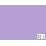SACH CARTON 170G 50X65CM 25F LILAS