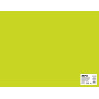 SACH CARTON 170G 50X65CM 25F VERT FLUO