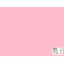 SACH CARTON 170G 50X65CM 25F ROSE