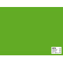 SACH CARTON 170G 50X65CM 25F VERT PRE
