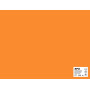 SACH CARTON 10G 50X65CM 25F ORANGE FLUO