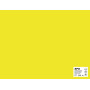 SACH CARTON 170G 50X65CM 25F JAUNE FLUO