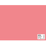 SACH CARTON 170G 50X65CM 25F ROSE FLUO