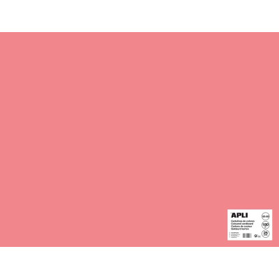 SACH CARTON 170G 50X65CM 25F ROSE FLUO