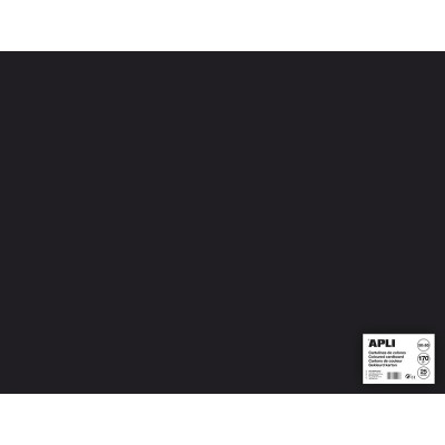 SACH CARTON 170G 50X65CM 25F NOIR