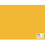SACH CARTON 170G 50X65 25F JAUNE OR