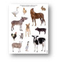 P.GOMMETES ENL ANIMAUX FERME 12F