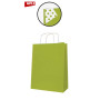 PAQ 50 SACS 25x11x31 KRAFT VERT LIME