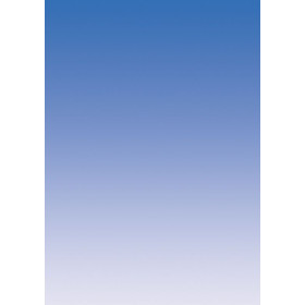 Pack 50  A4 BLEU OUTREMER 175g