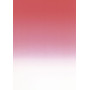 Pack 50 A4 175g. ROUGE ECARLATEOB