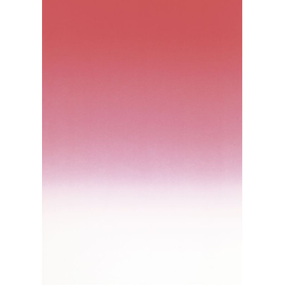 Pack 50 A4 175g. ROUGE ECARLATEOB