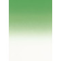 Pack 50 A4 175g .VERT EMERAUDE