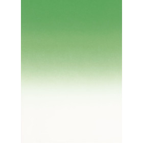 Pack 50 A4 175g .VERT EMERAUDE