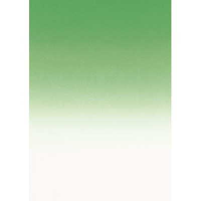 Pack 50 A4 175g .VERT EMERAUDE