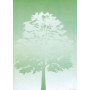Boite 100 A4 DECAdry 80g. ARBREOB