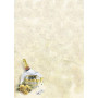 Pack 100 A4 Champagne, 90g             OB
