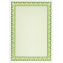 EMERALD GREEN DIPLoME COQUILLAGE 115G70F