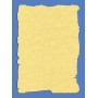 B.PAPIER PARCHEMIN OR PRECUT 95G.10FOB