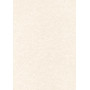 B.PARCHMENT TEXTURE PAPIER GRIS 95G.100F
