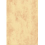 B.PAPIER STRUCTURE MARB D'OR 165G.50F
