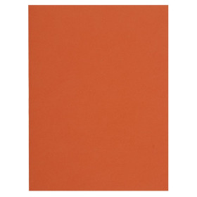 Pt 100 chemises FLASH 220 orange