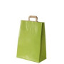 50 Sacs Kraft 22 x 10 x 29cm 80gr poignées plates vert pomme