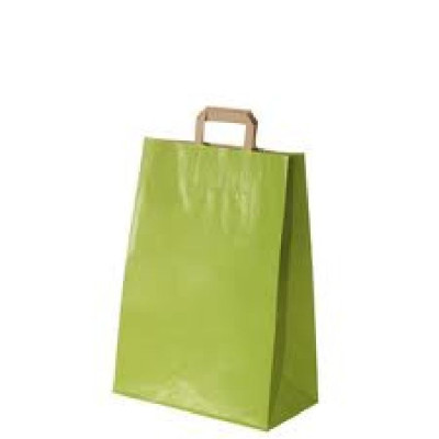 50 Sacs Kraft 22 x 10 x 29cm 80gr poignées plates vert pomme