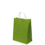 50 Sacs Kraft 24 x 12 x 31cm 100gr poignées torsadées vert amande